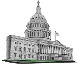 Government Backed Loans