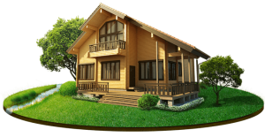 Check Loan Status
